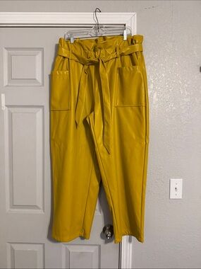 NWT Ashley Stewart Pants - Size 18